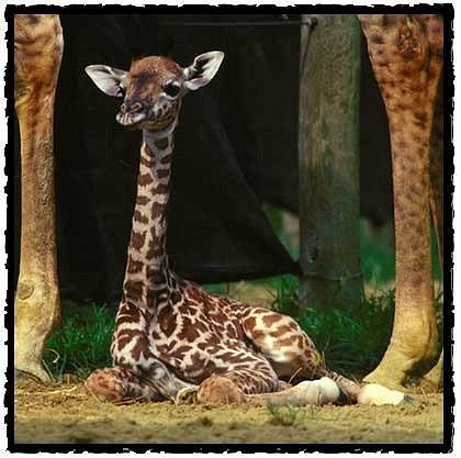 №65, Витя Силивончик, 31 год, Паричи №65, Витя Силивончик, 31 год, Паричи