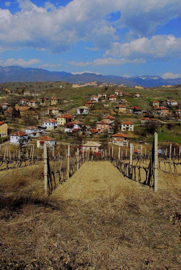 Софа Каллистратиди | 