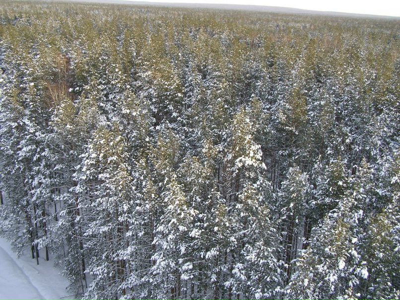 Алексей Друзин | Алатырь