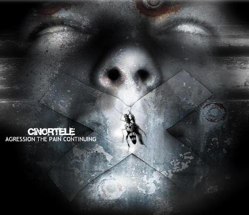 Семен Кучин | Новосибирск