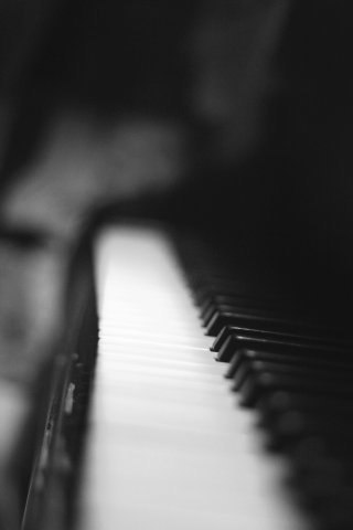 №64, Alina Fisher, Жуковский, Россия №64, Alina Fisher, Жуковский, Россия