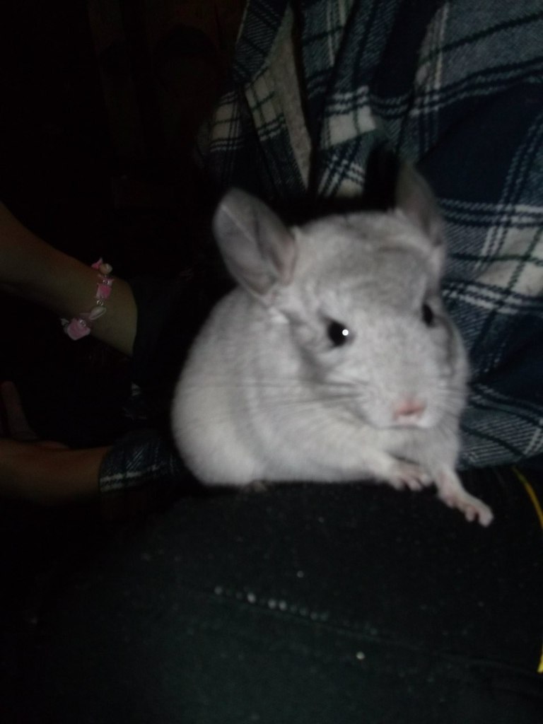 Алёна Урсулика | Санкт-Петербург