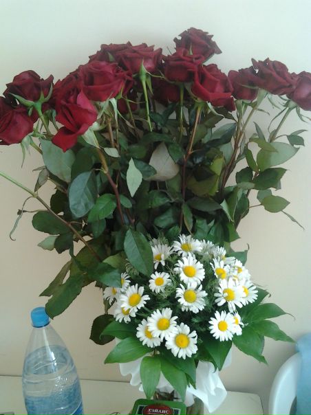 №9, Ольга Грузд, 40 лет, Симферополь №9, Ольга Грузд, 40 лет, Симферополь