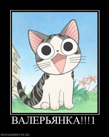 №6, Женя Герасименко, 38 лет, Нижнекамск, Россия №6, Женя Герасименко, 38 лет, Нижнекамск, Россия