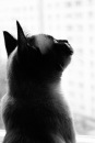 Фотография Заниной Дины