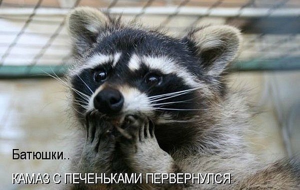 №51, Максим Мосин, 35 лет №51, Максим Мосин, 35 лет
