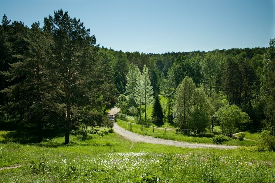 №81, Светлана Коботова, 40 лет, Новосибирск, Россия №81, Светлана Коботова, 40 лет, Новосибирск, Россия