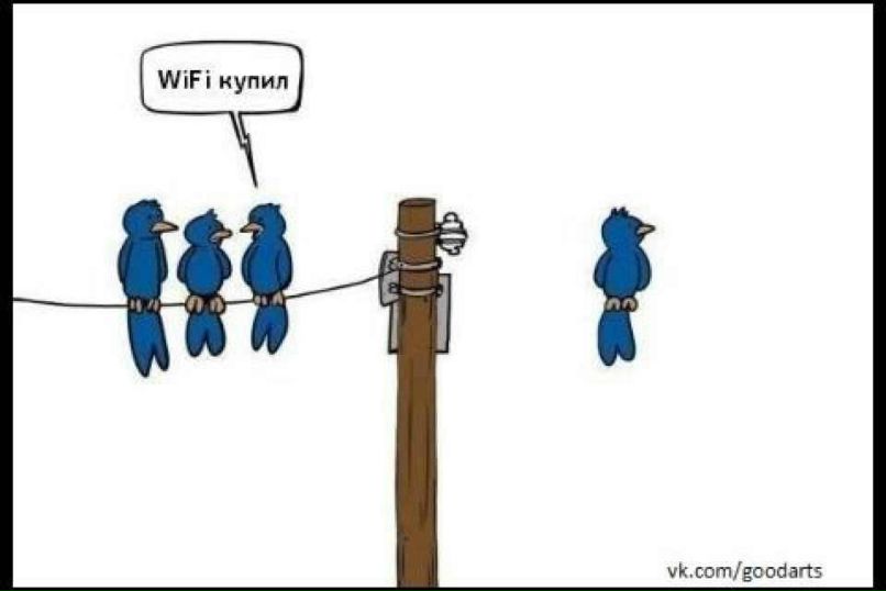 Николай Дорофеев | Санкт-Петербург