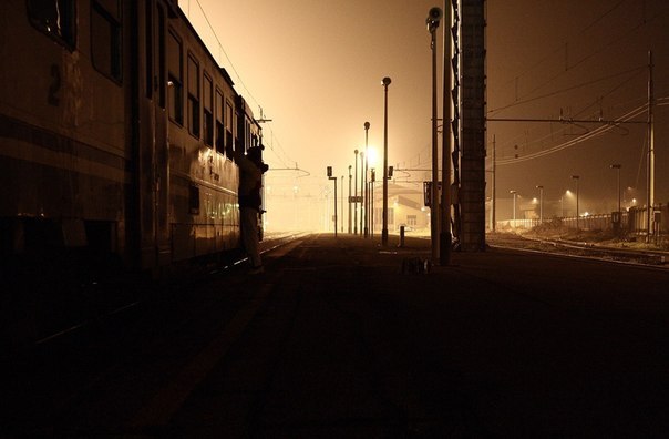 Илья Шабалин | Арзамас