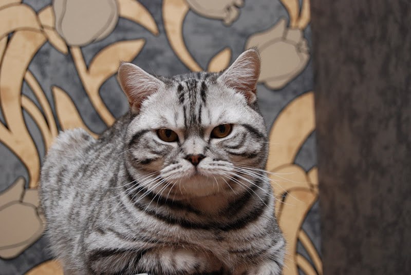 Павел Васильев | Запорожье