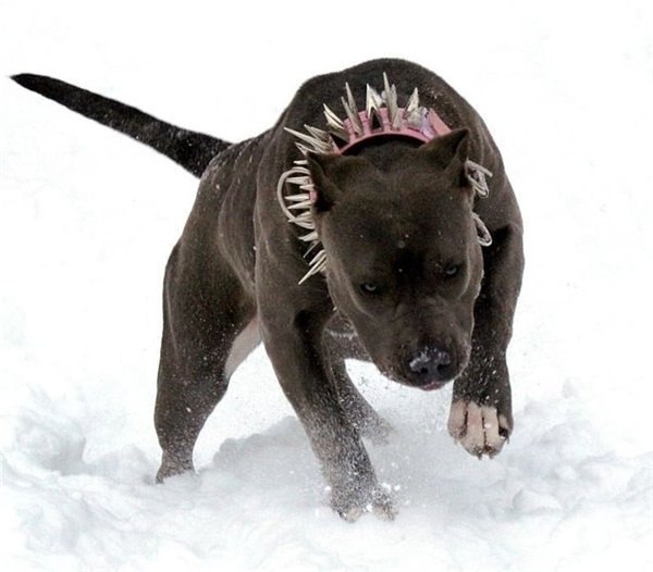 Анастасия Тарасова WTF? | Санкт-Петербург