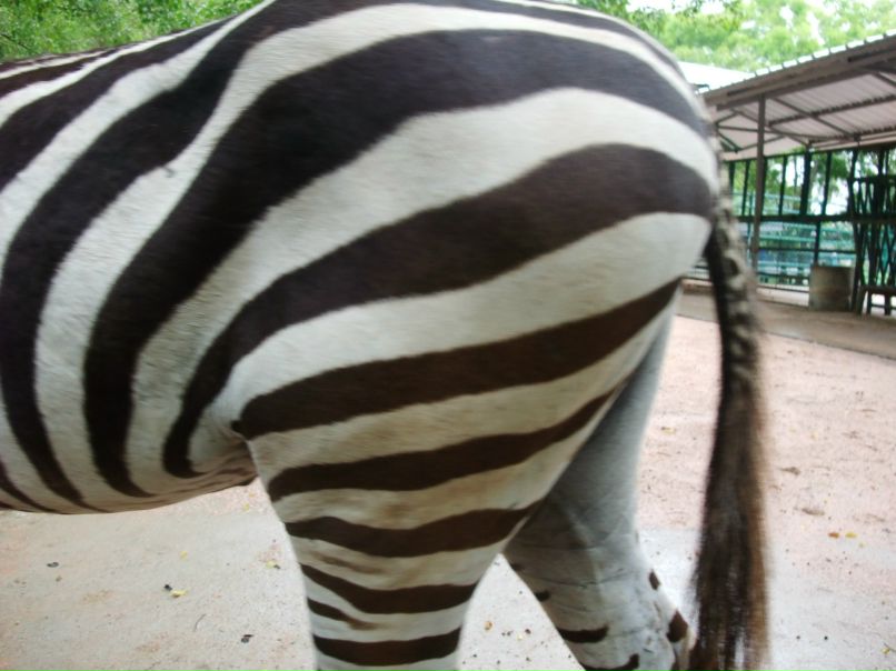 Валентина Александрова | Москва