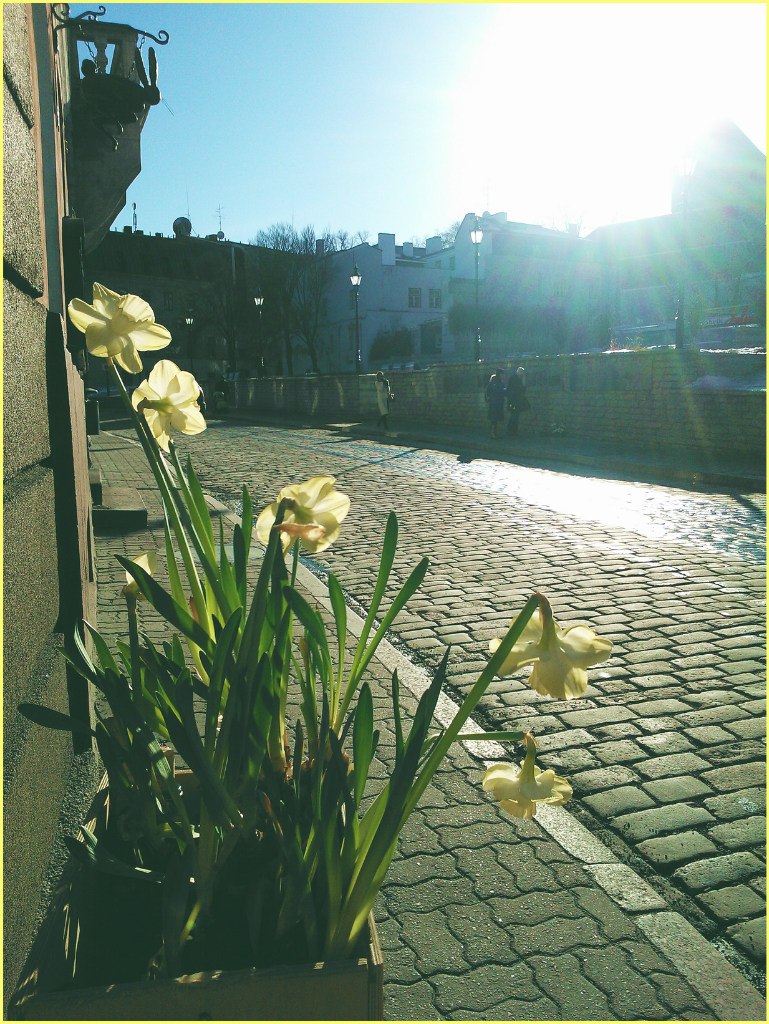 Johny Rock-n-rolla | Санкт-Петербург