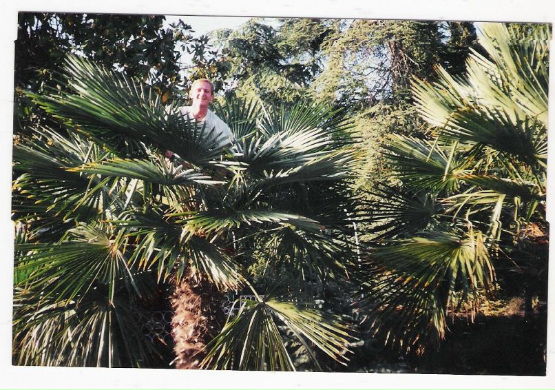 Володя Петрина | Вараш / Кузнецовск