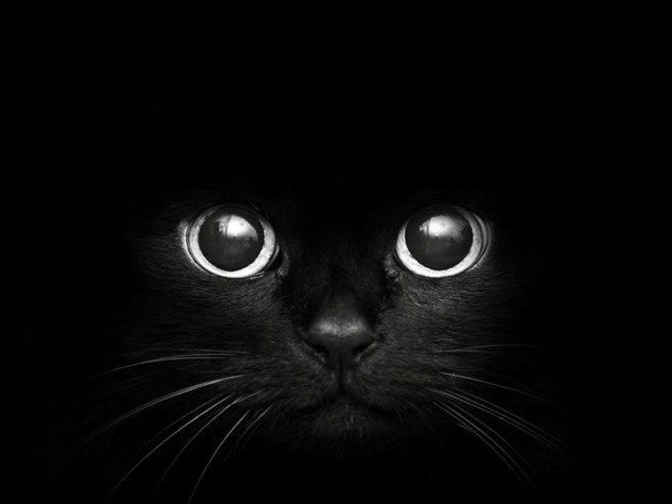 Андрей Казей | 