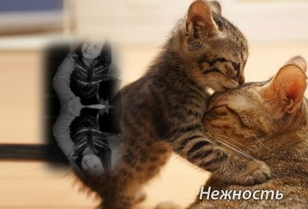 Ирина Луценко | 