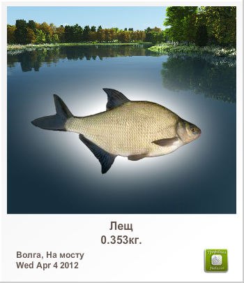 Николай Семенов | Санкт-Петербург