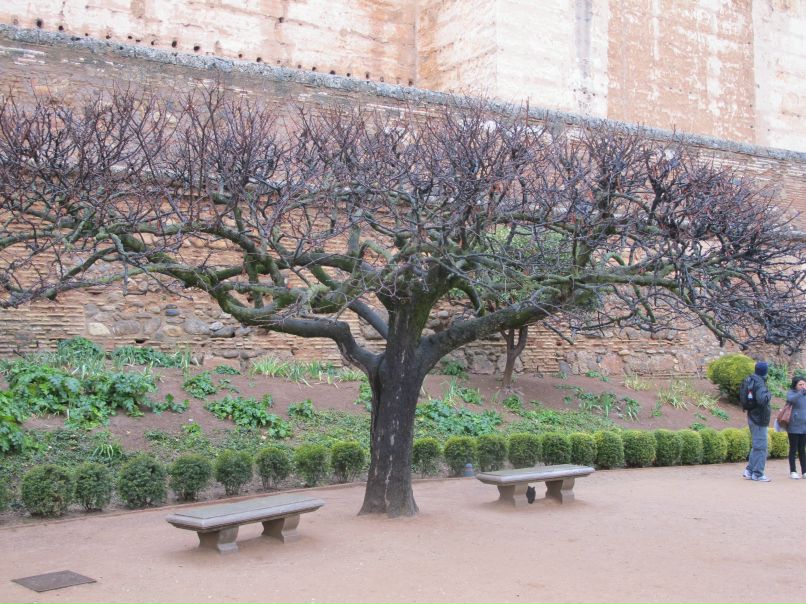 Станислав Леоник | Санкт-Петербург