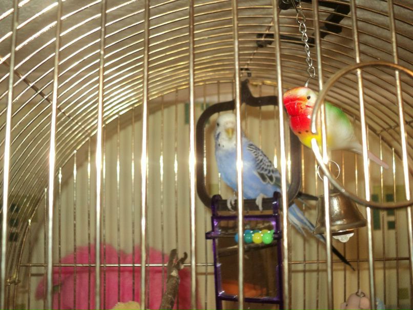 Диана Фадеева | Нижний Новгород