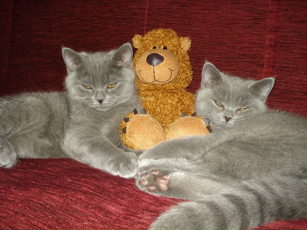 Ольга Еременко | Одинцово