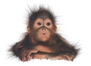 Ирина Иринина | Тюмень