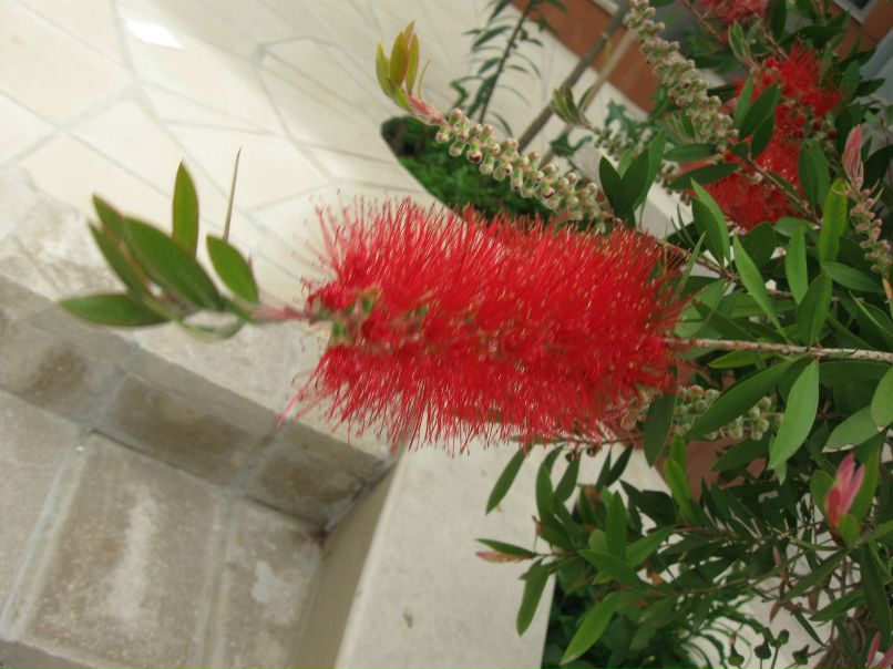 Ольга Хурс | Москва