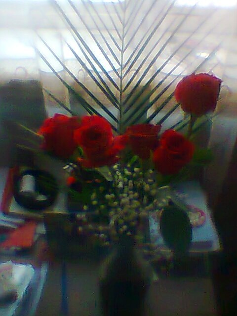 Елена Вайсер | Чистоозерное