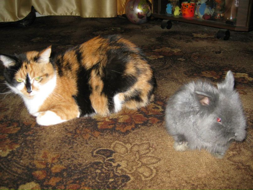 Юлия Пуякина | Москва