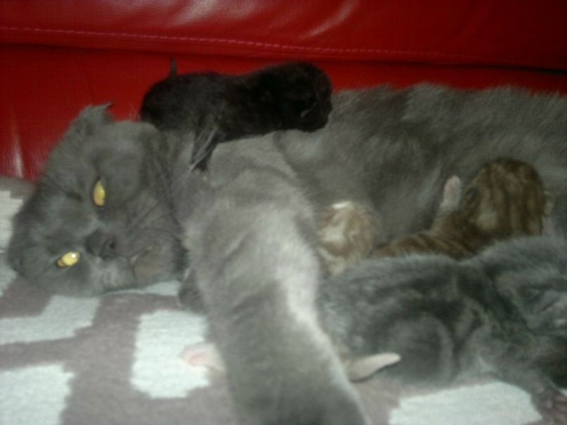 Ірина Тарасюк | Киев