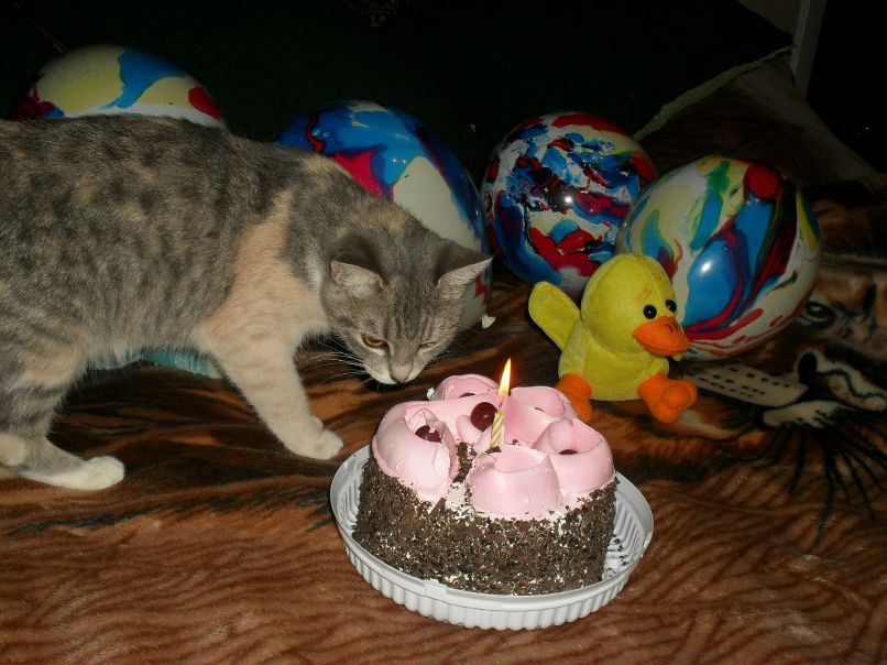 Татьяна Губенко | Краснодар