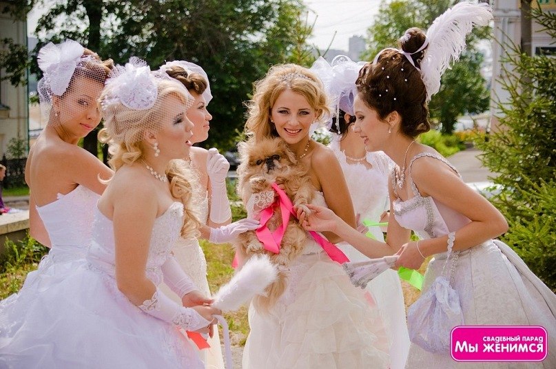 Светлана Захарова | Чебоксары