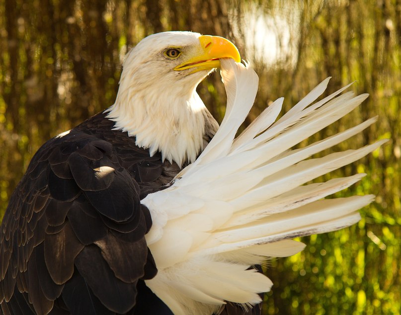 Feel Good | Москва