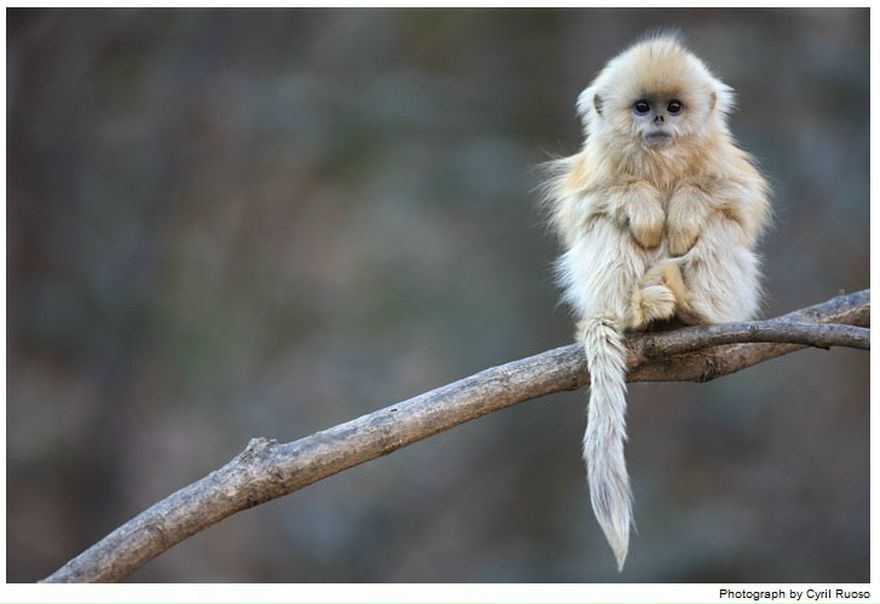 №81, Ксения Головнина, Пермь №81, Ксения Головнина, Пермь