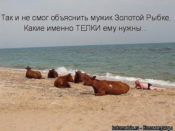 Максим Круглов | Конаково