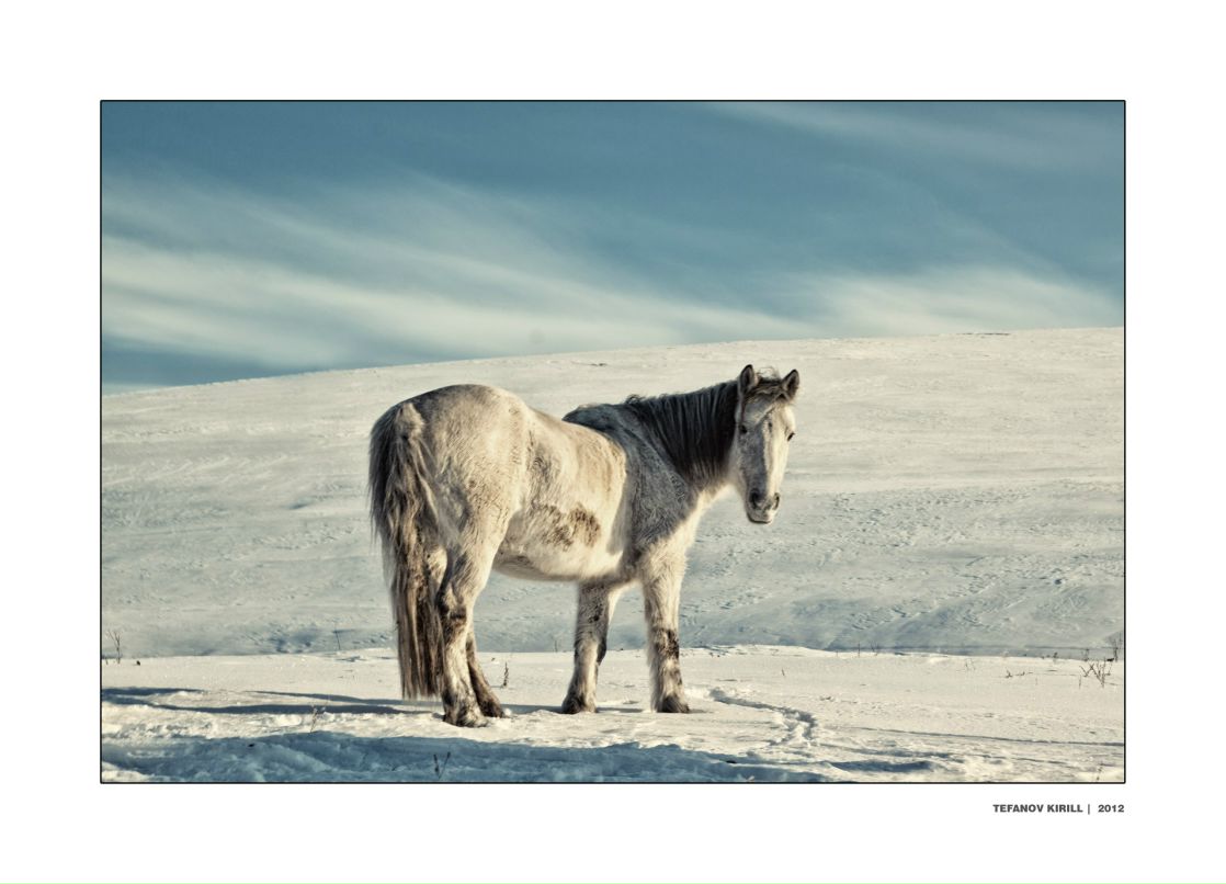 Кирилл Тефанов | Уфа