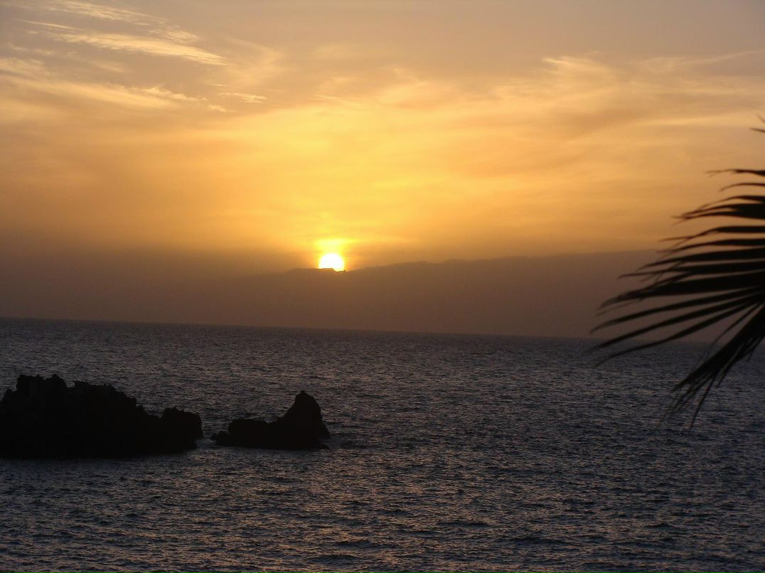 Ирина Горячева | Смоленск