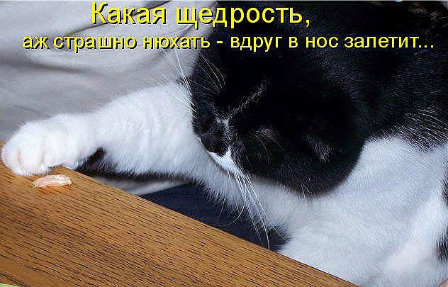 Евгения Пронина-Трифонова | Калининград