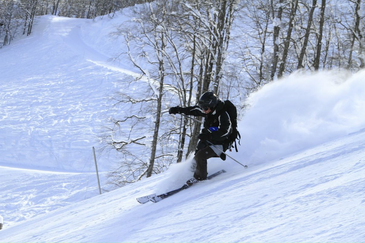 Виктор Леший | Сочи