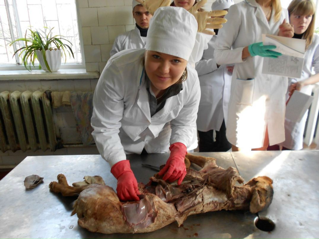 Юлька Утва | 