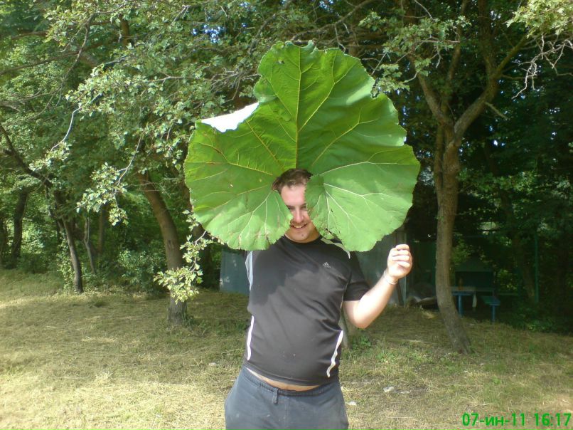 Андрей Марьичев | Нижний Новгород