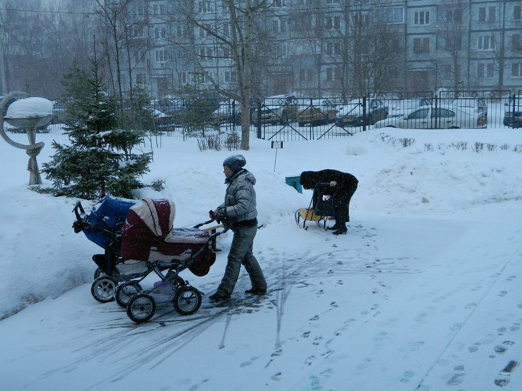 Алиска Додина | 