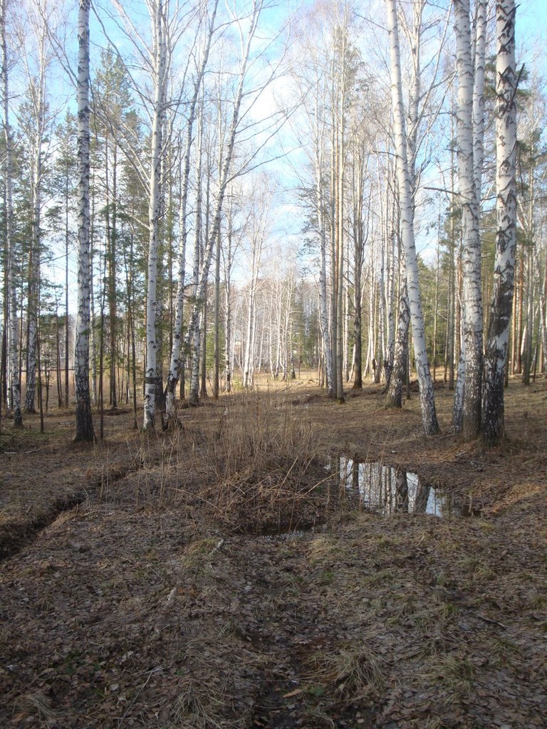 Никита Шмелев Олегович | Екатеринбург