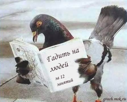 №19, Руслан Целовальников №19, Руслан Целовальников