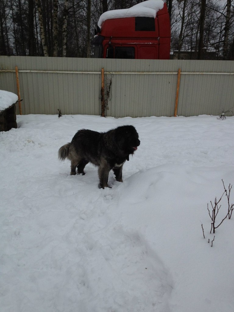 Жанна Широких | Санкт-Петербург