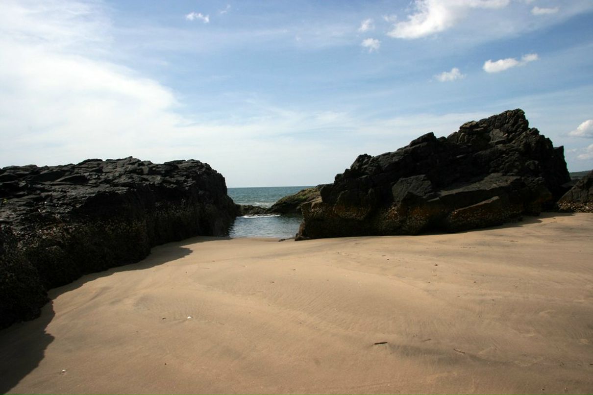 Elena Vid | San Francisco