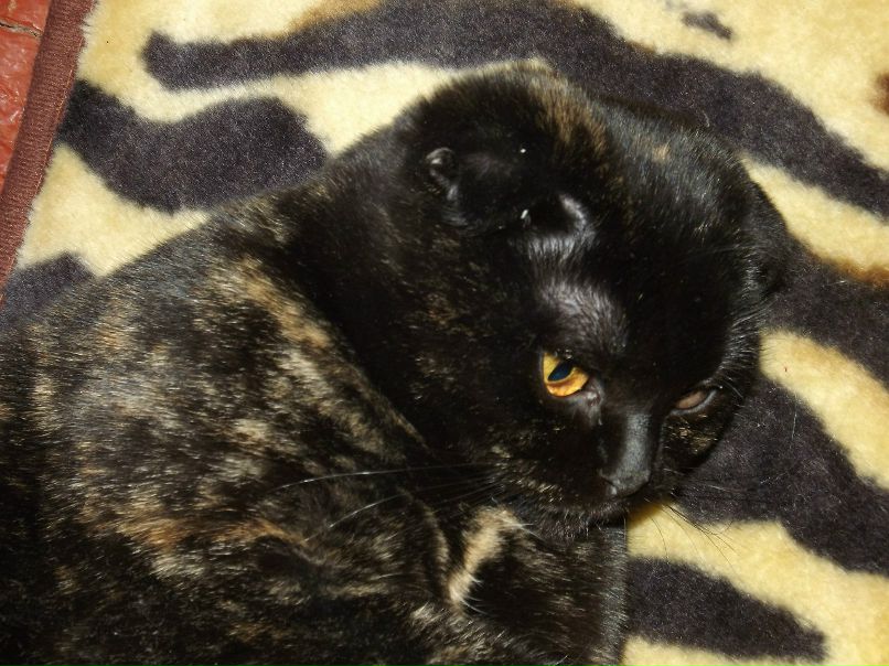 Вася Сазонов Серегович | 