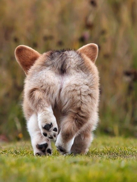 Анастасия Пересада | Киев