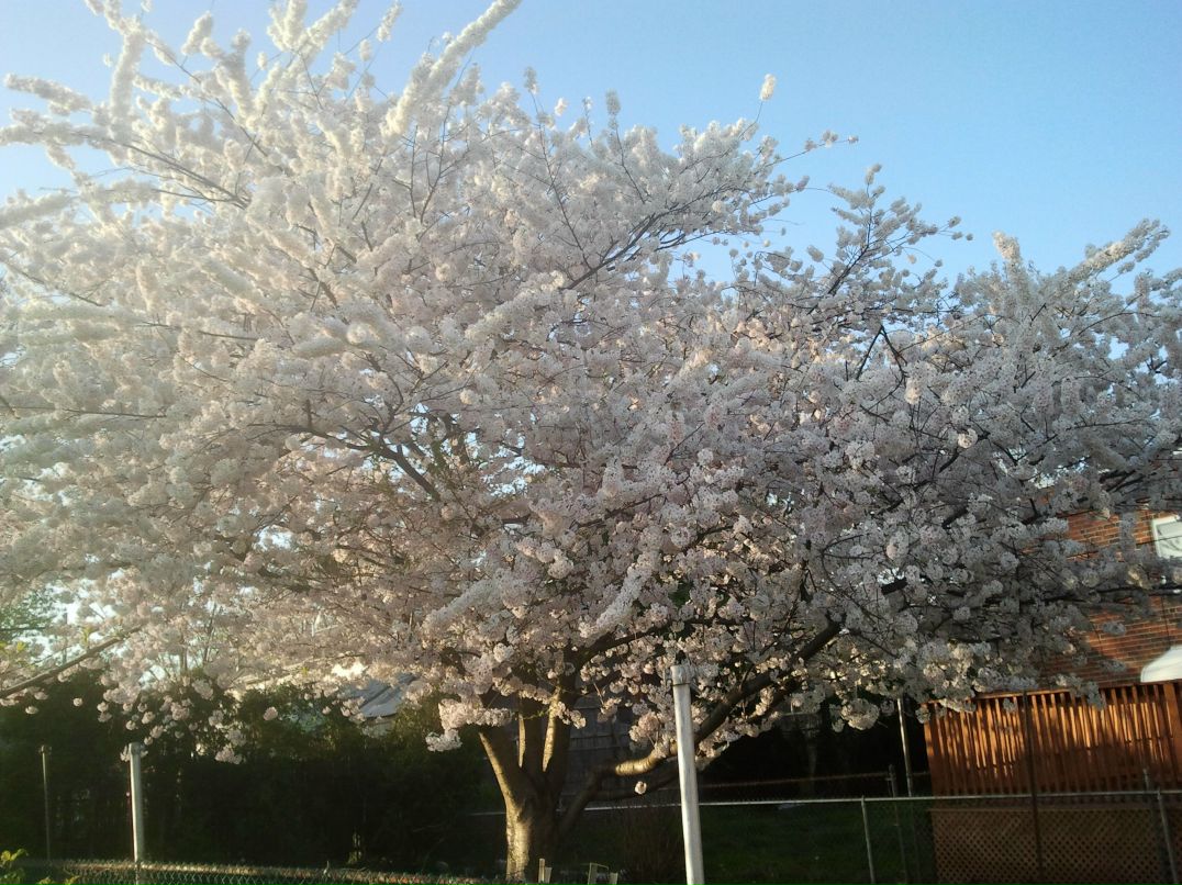 Ветал Вернидуб Jemvell | Харьков