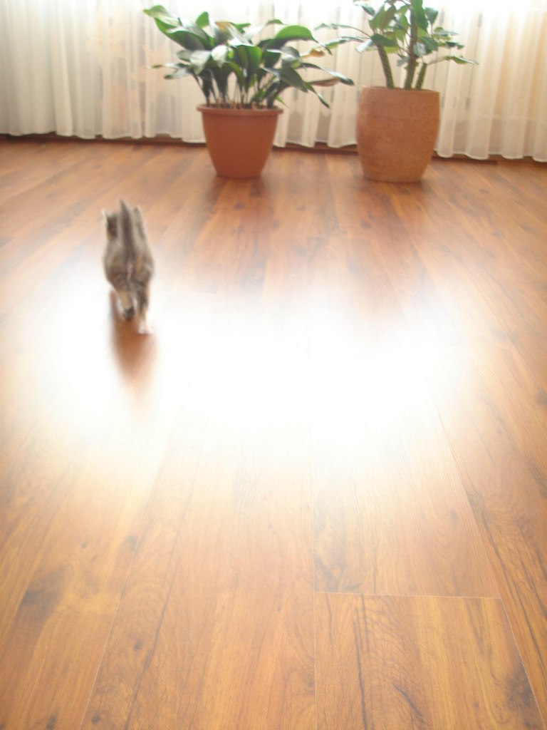 Вадим Немиро | Витебск