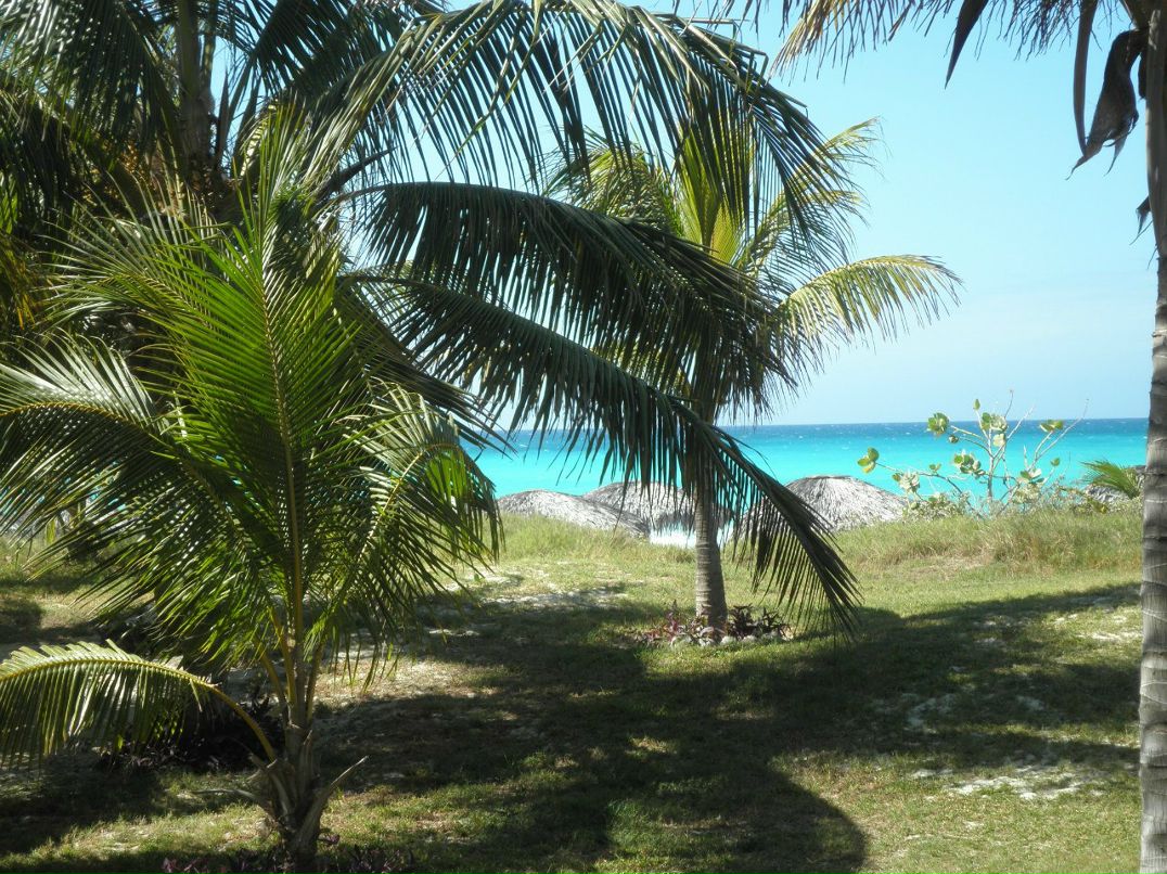 Татьяна Акимова | Мещовск